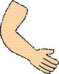 arm-clipart-arm-hand-md