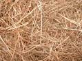 2008-10-27-straw2